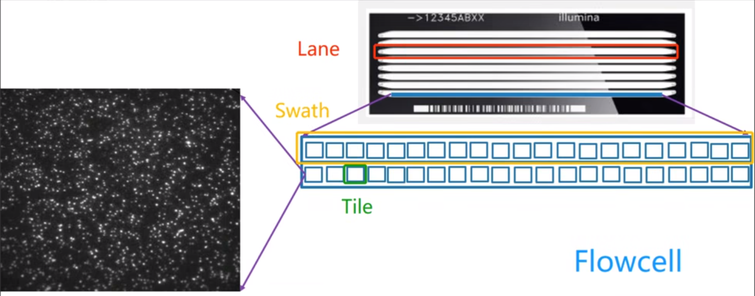 image-20240226090916187