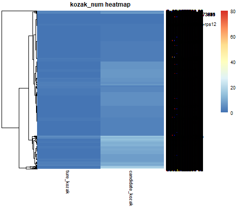 kozak-heatmap-with-rownames