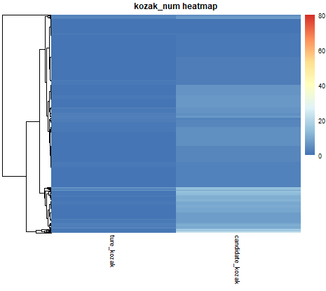 kozak_num _heapmap_no_rawnames